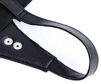 Leather and Stainless Harness