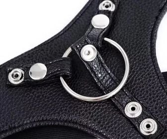 Leather and Stainless Harness