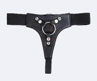 Leather and Stainless Harness