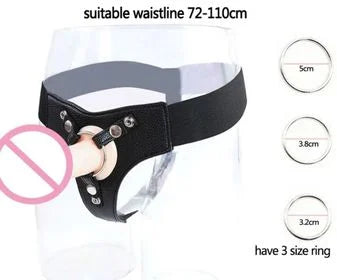 Leather and Stainless Harness