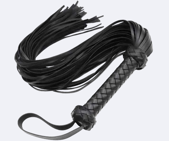 Black Leather Whip