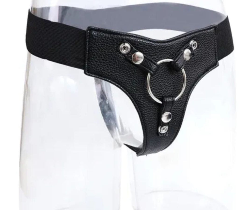 Leather and Stainless Harness