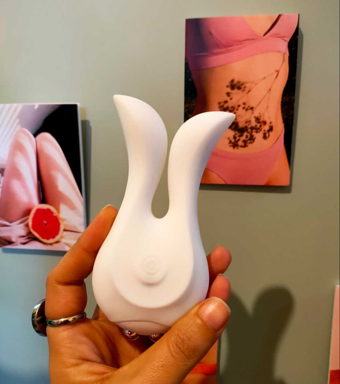 Rechargeable Lilo brand Vibrator.