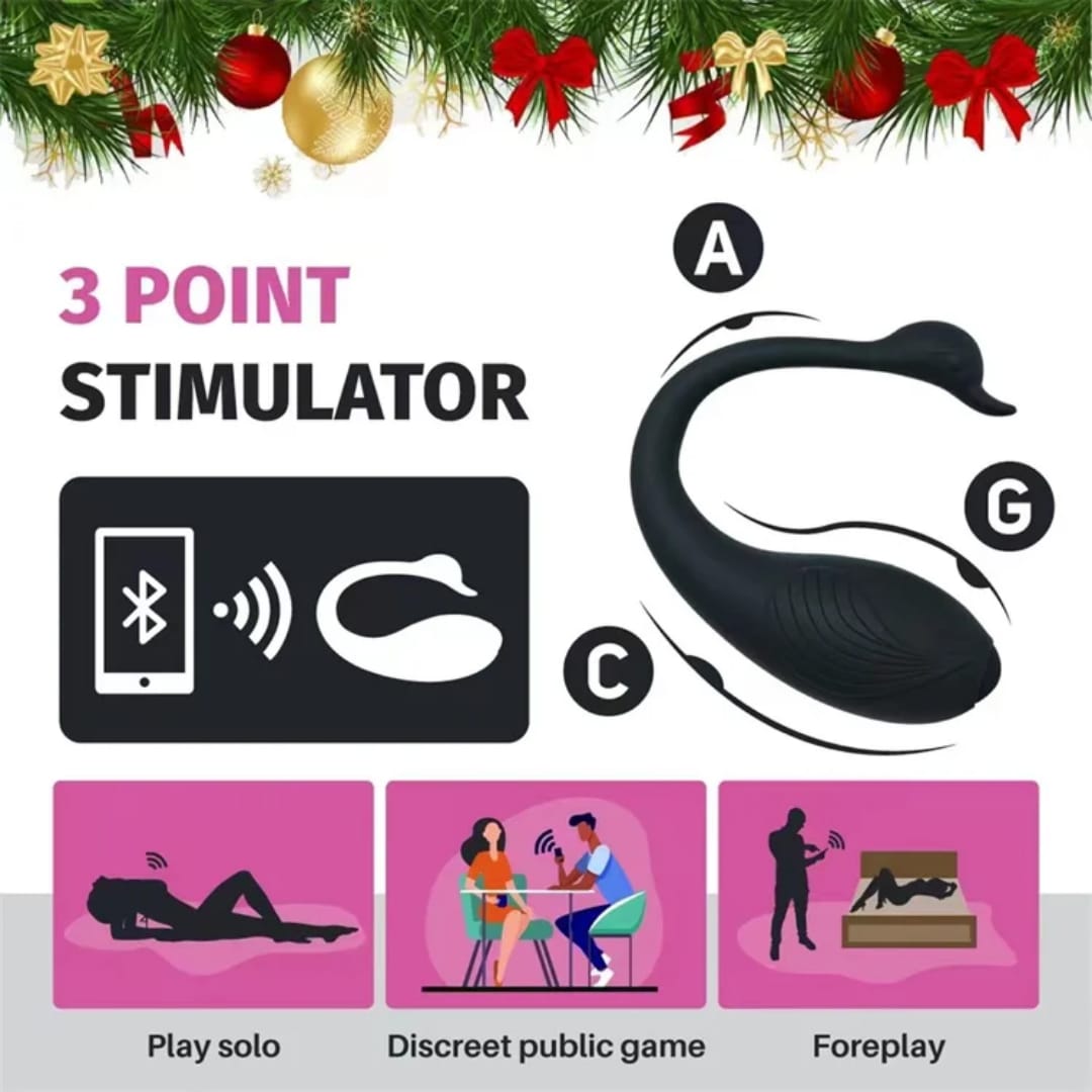 Swan Controlled Vibrating Wearable Egg