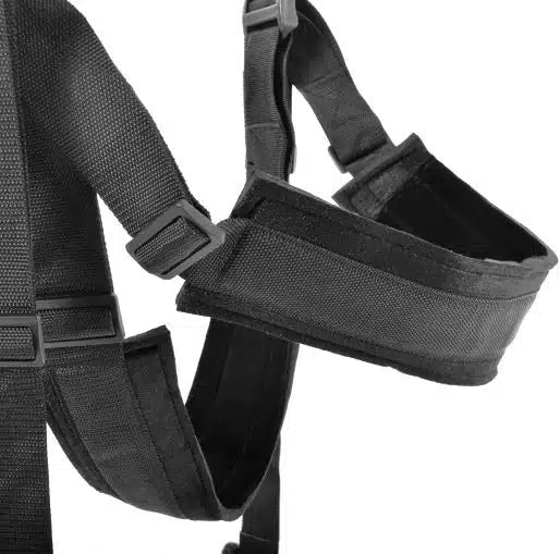 Padded support straps and adjustable harness system for couples swing